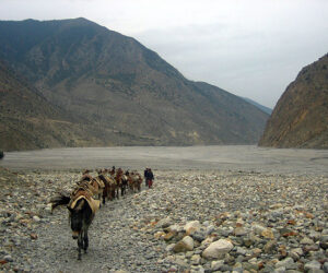 rio-gandaki-annapurna