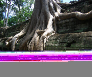 Viaje a Asia: Por dónde empezar