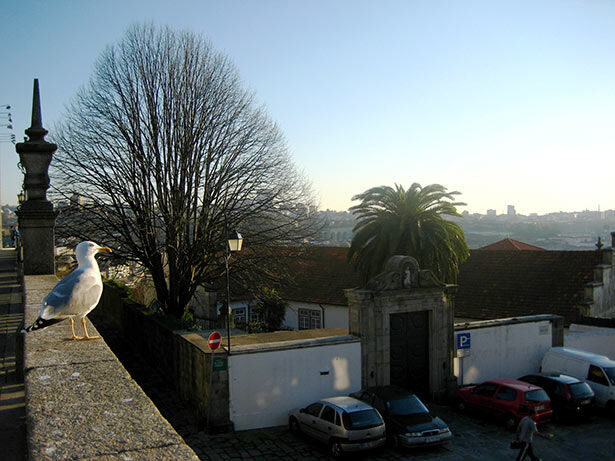 vistas-catedral