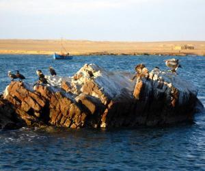 Islas Ballestas