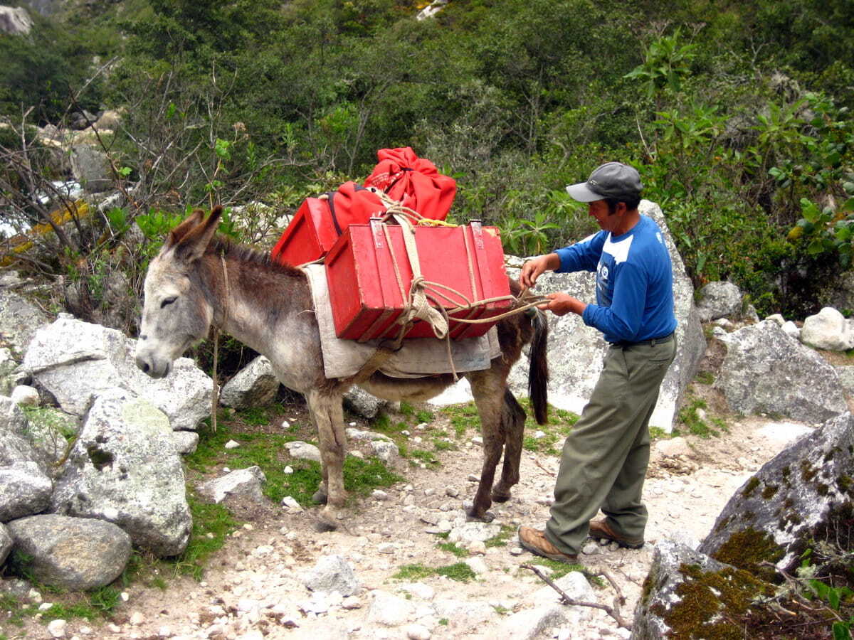 Porteador Santa Cruz Andes