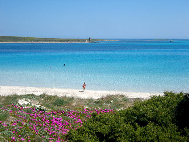 playa-pelossa-cerdena