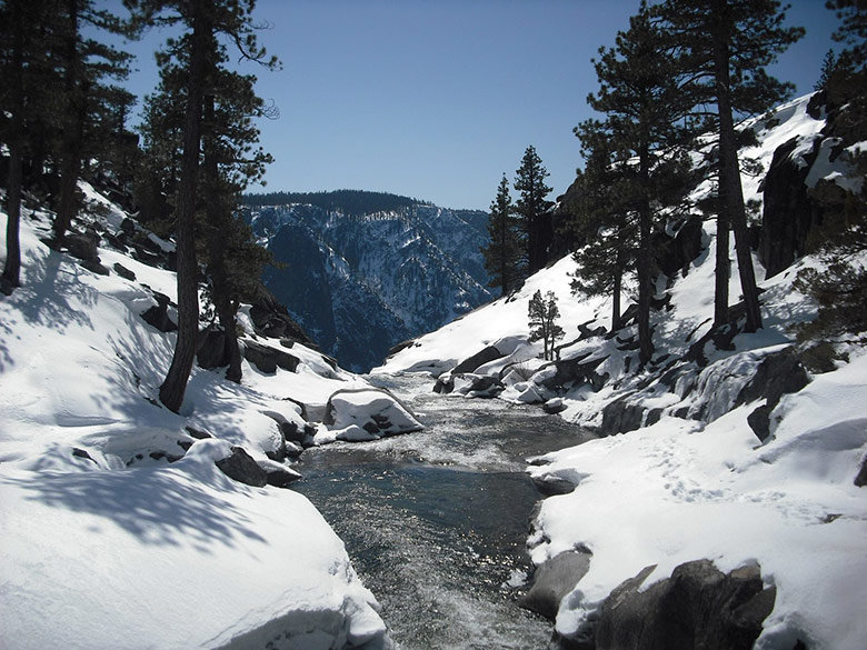 bosque-tahoe