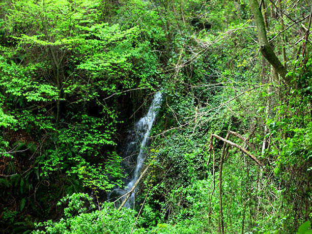 excursion-montseny