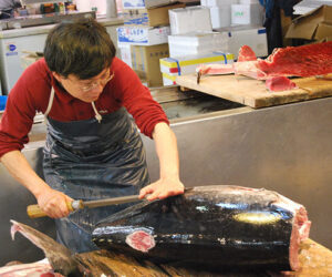 Tokyo: visita al mercado de pescado de Tsukiji
