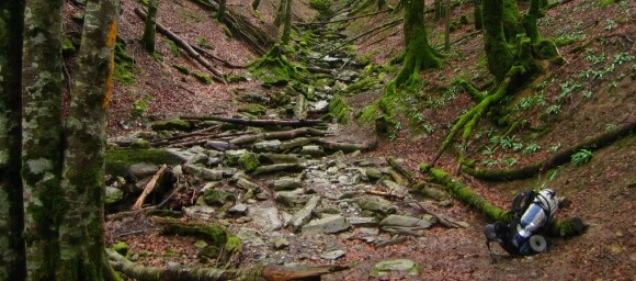 bosc irati 3