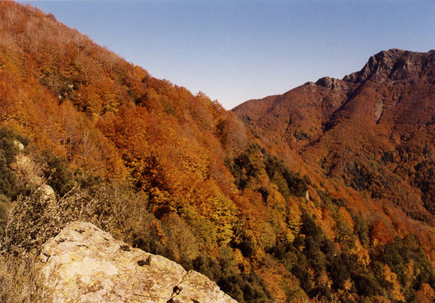matagalls_otono