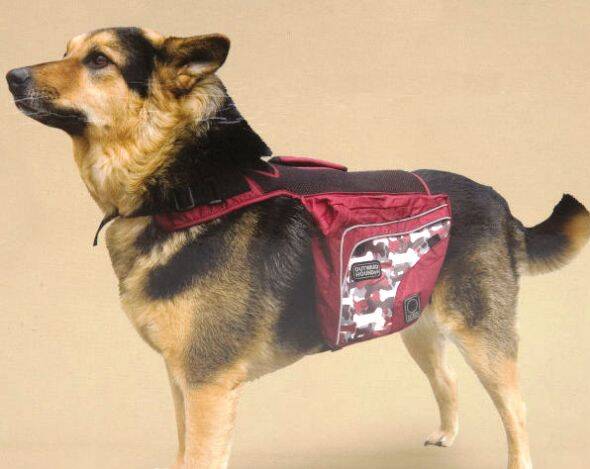 mochila_perro