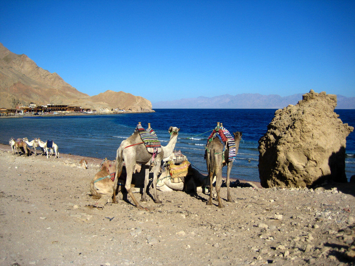 Dahab en el mar Rojo de Egipto
