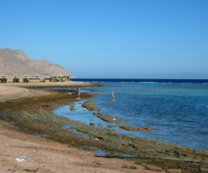 De Taba a Eilat: cruzando la frontera de Egipto con Israel