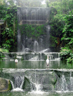 cascada