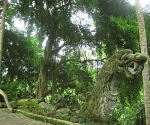 Preparando mi próximo viaje: Indonesia y Malasia