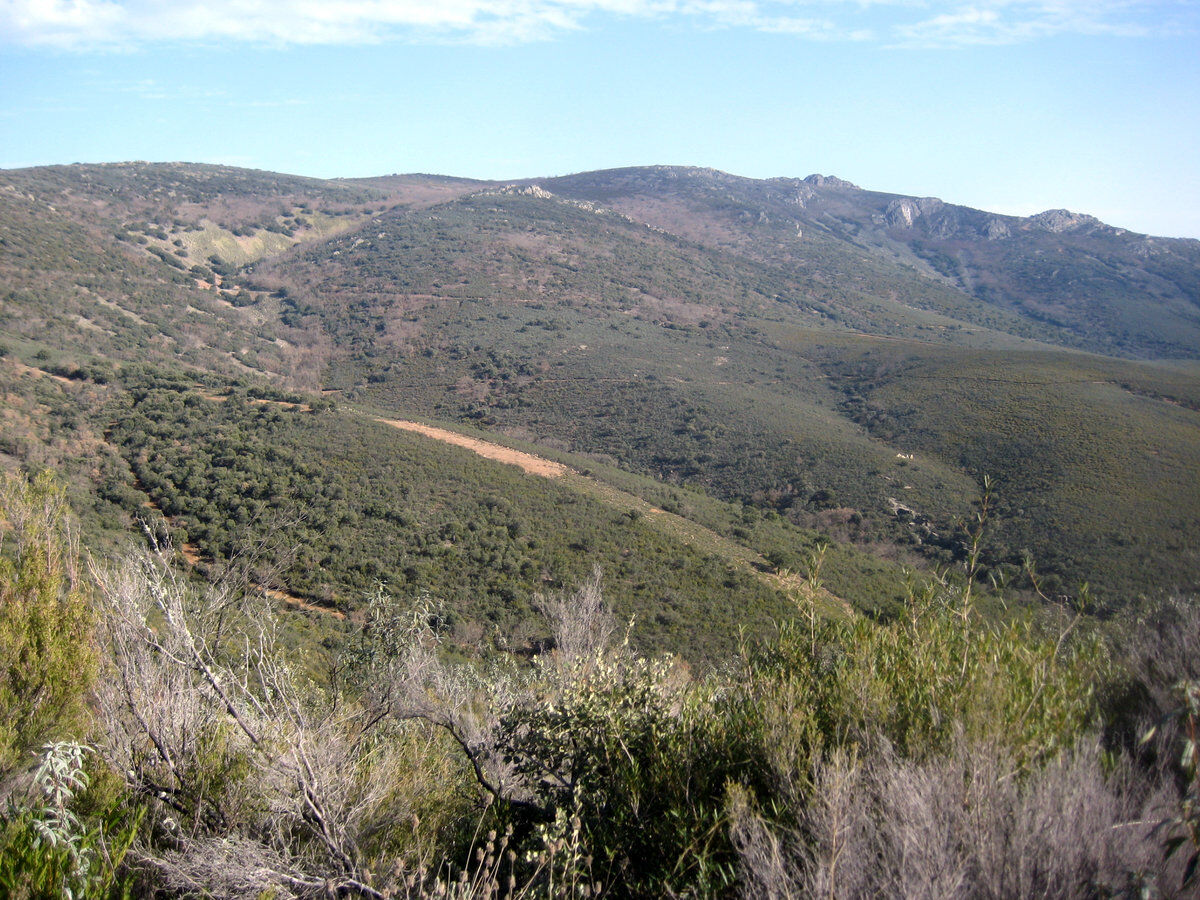 Castilla-La Mancha, parque nacional de Cabañeros