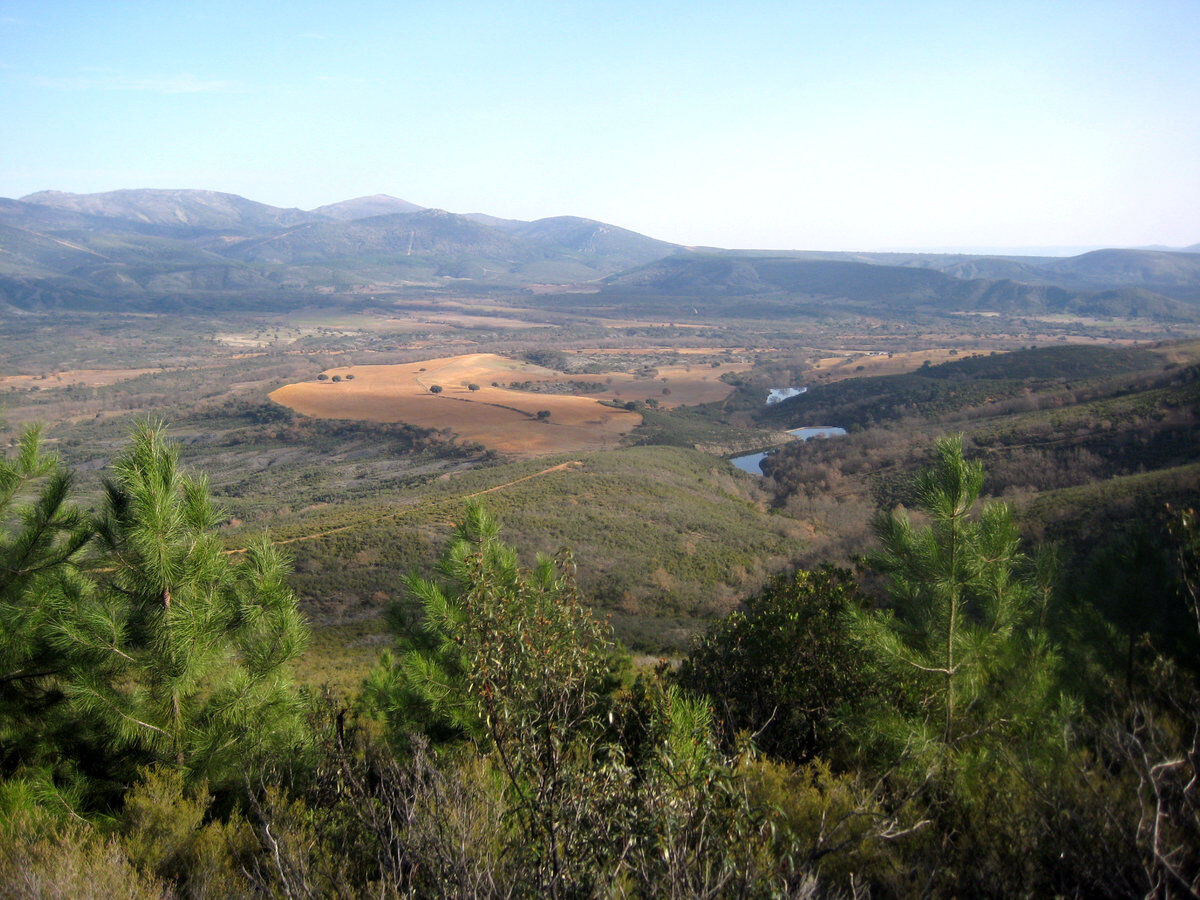 Cabaneros