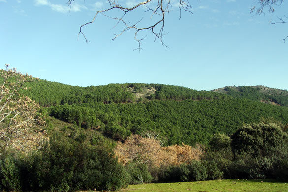 parque nacional de cabaneros