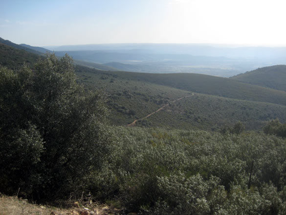 parque nacional de cabaneros