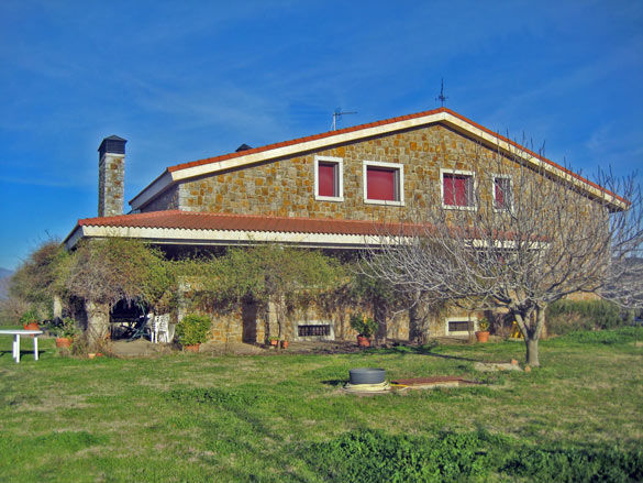 vino ecologico vino ecologico