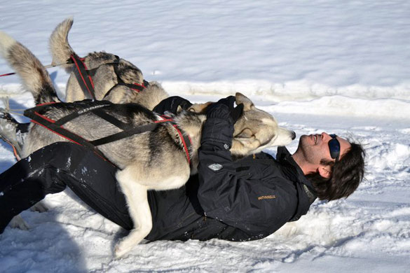 jugando_huskies_nieve