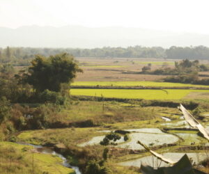 Cruzando de Laos a Tailandia