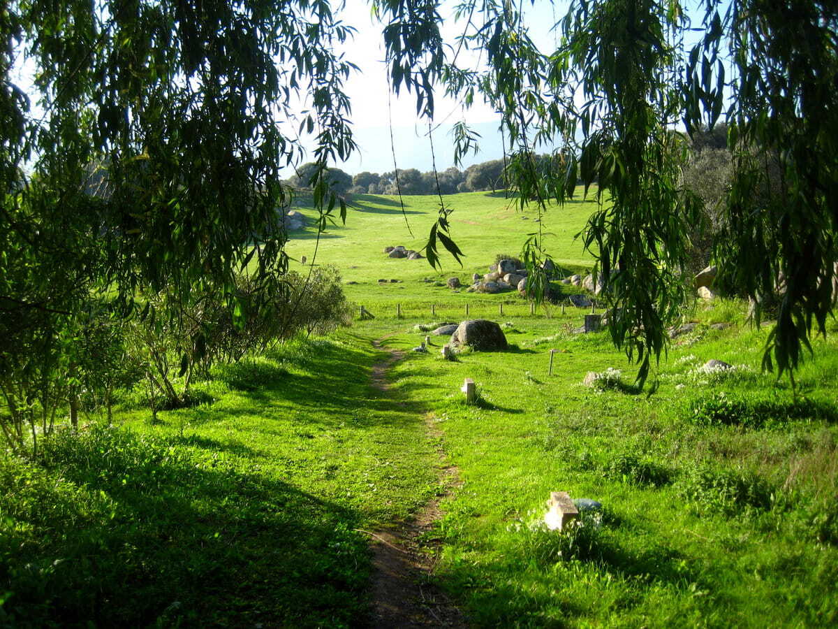 prado Filitosa