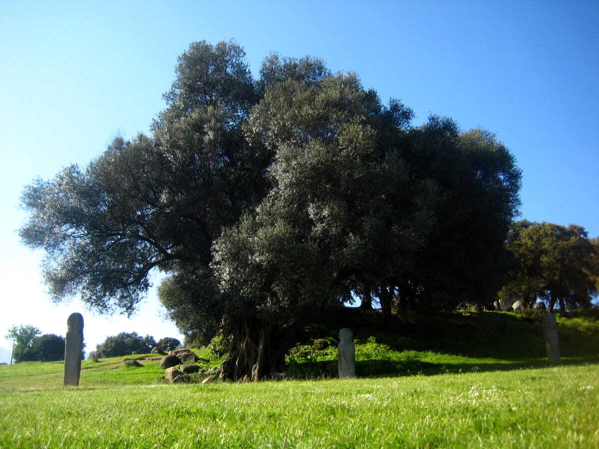 Filitosa Corcega
