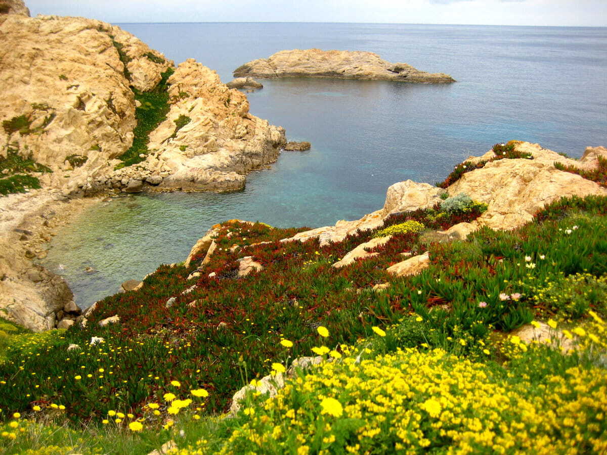 Rousse