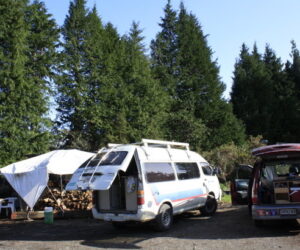 Viajar y trabajar en una granja: Bomun en Nueva Zelanda