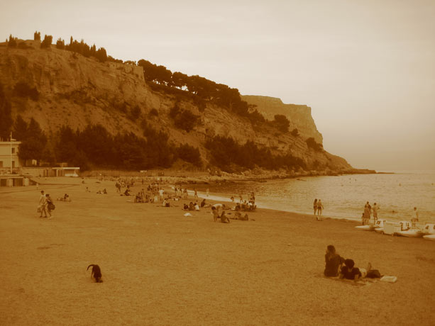 cassis_sepia