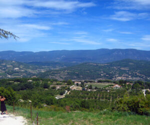 vistas_saignon_luberon