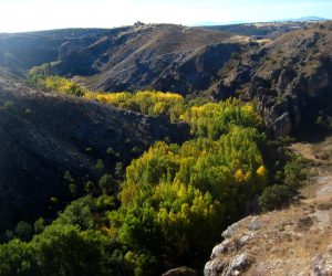 Senderismo en el Barranco del Río Dulce: ruta desde Peregrina a Aragosa