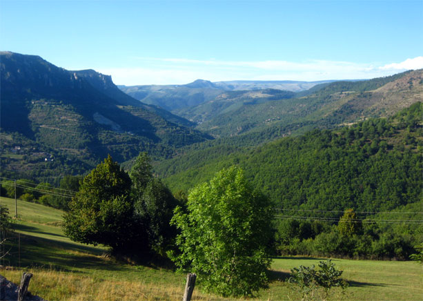 cevennes
