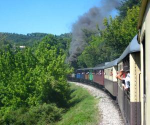 El tren a vapor de Cevennes