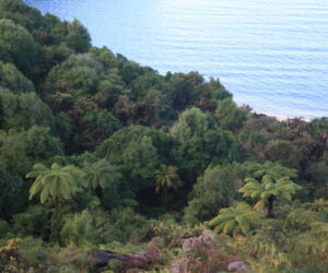 abel_tasman_national_park