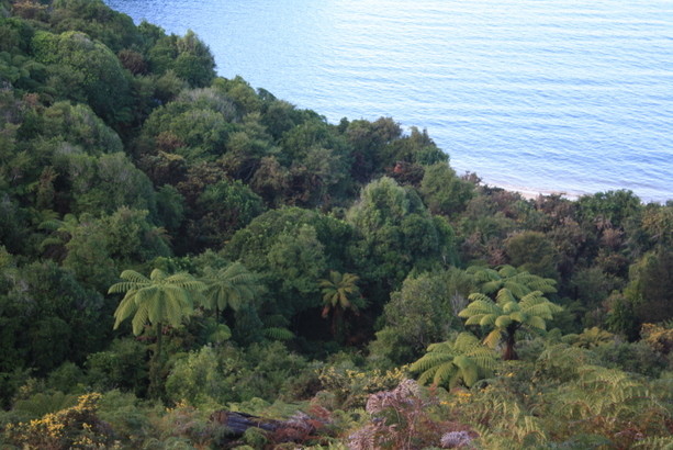 abel_tasman_national_park