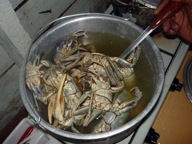 comida-bocas-toro-panama