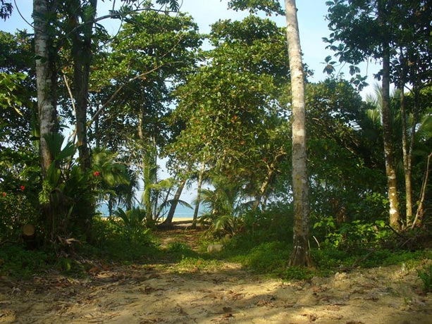 senderismo-bocas-toro