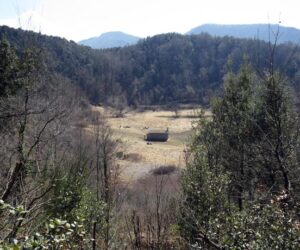 volcan-garrotxa-margarida