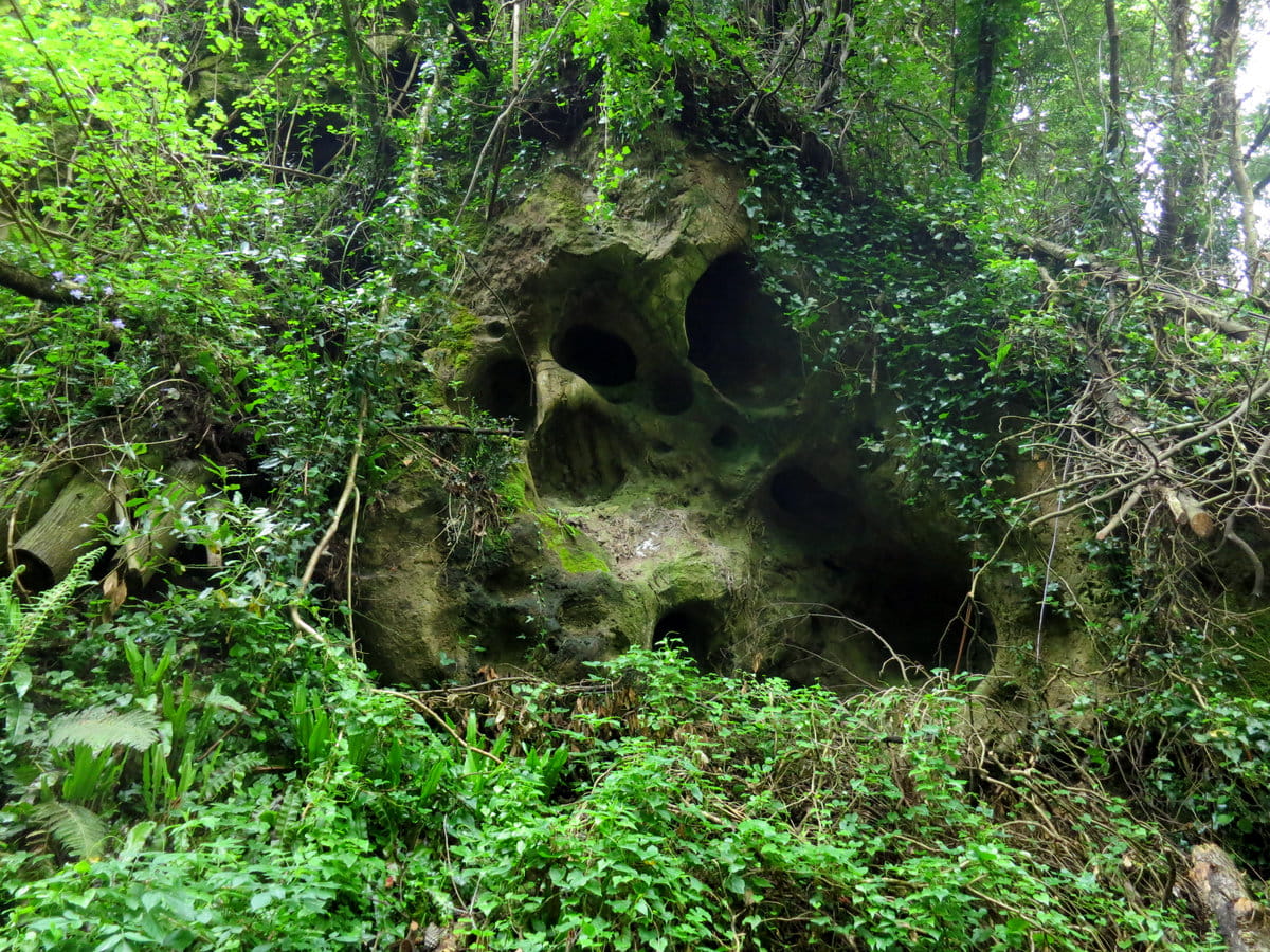 Una misteriosa calavera en las formaciones kársticas de las cuevas de Andía