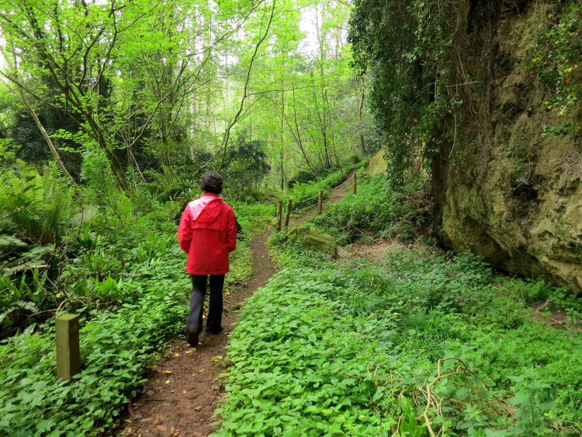 Sendero de las cuevas de Andía