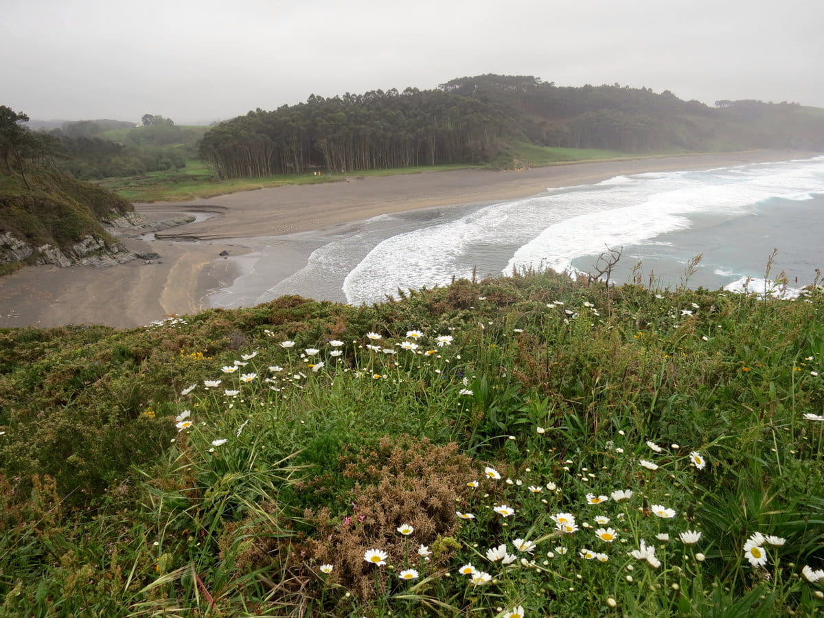 Playa de Frexulfe