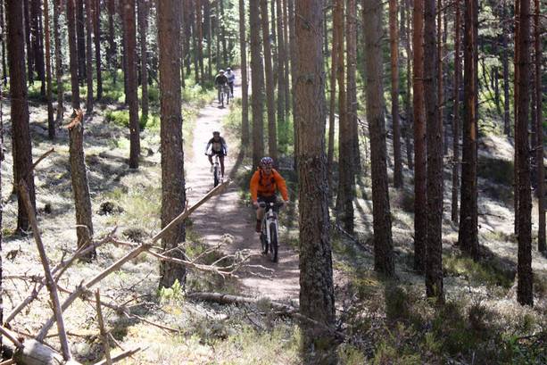 Mountainbike con crow adventure