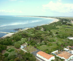 Visita a la Isla de Ré: salinas y el Faro de las Ballenas