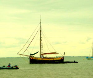 Visita a la isla de Oléron