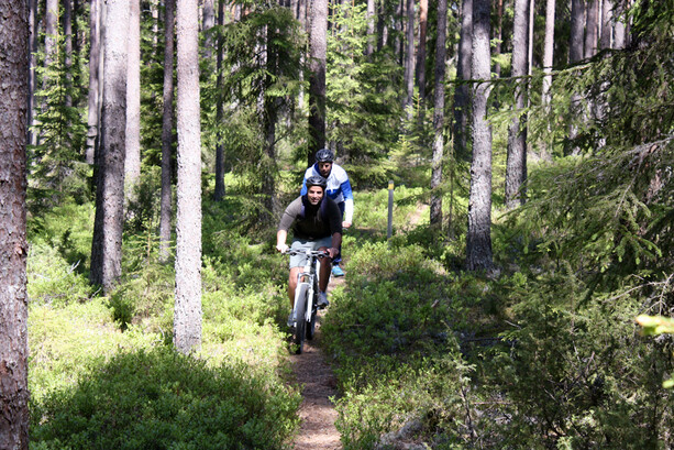 Mountainbike_con crow adventure