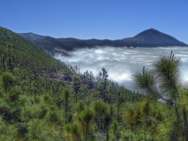 Teide_Tenerife_Canarias Teide_Tenerife_Canarias