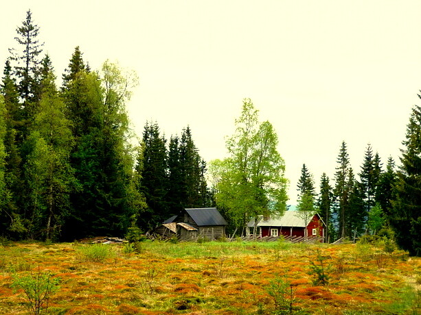 Trekking-Suecia