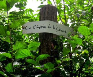 chemin-liberte-france