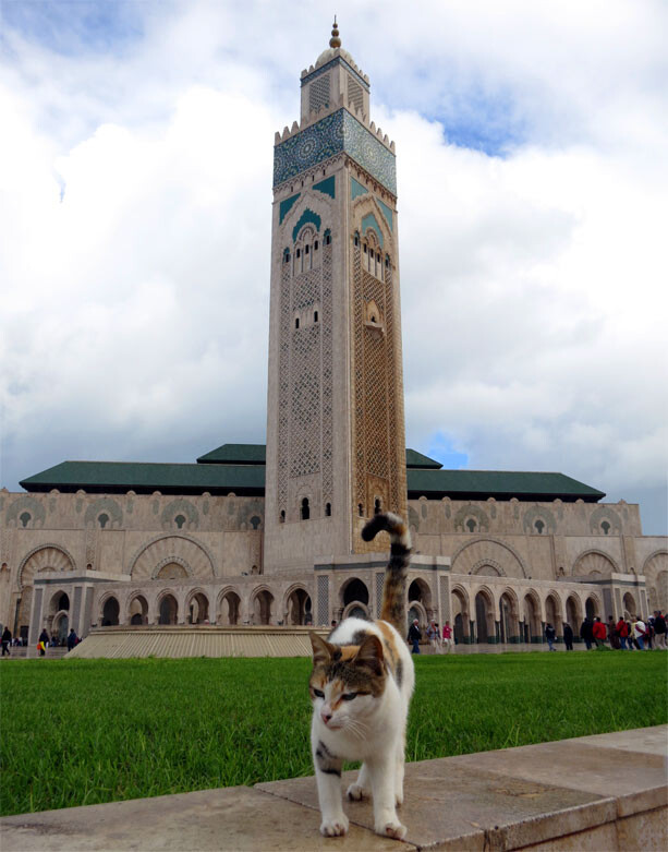 mezquita-hassan-casablanca