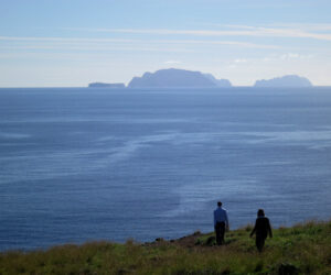 islas-desiertas-madeira