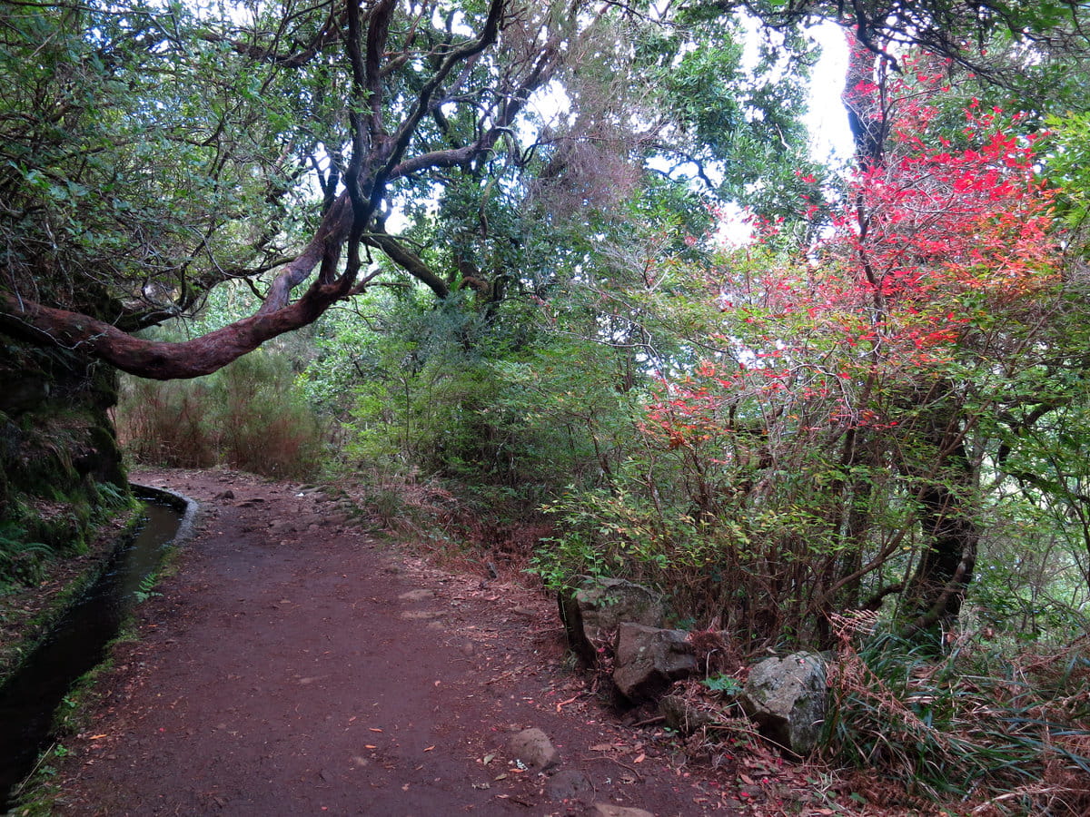 levada en el interior de Madeira, Portugal